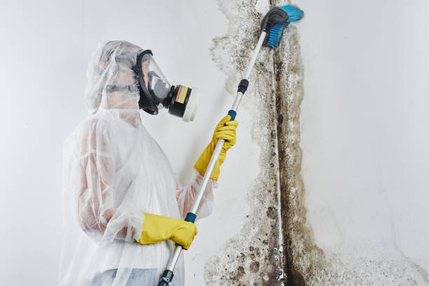 Water Damage Restoration in Marble Hill, MO