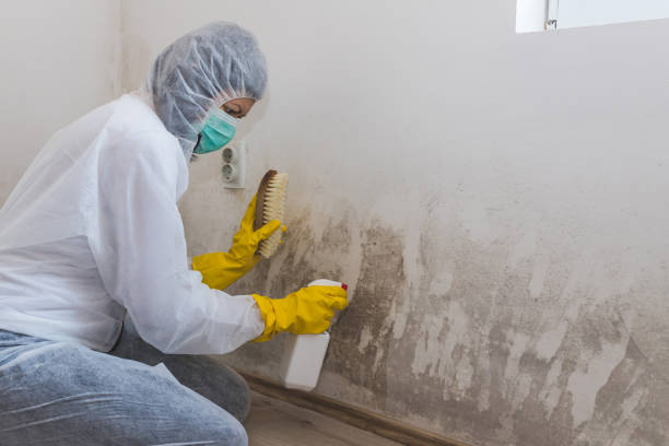 Best Crawl Space Mold Removal  in Marble Hill, MO