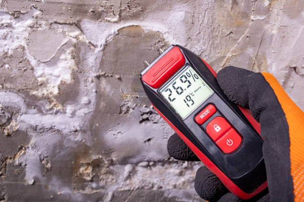 Best Black Mold Removal  in Marble Hill, MO