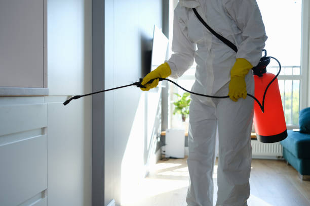 Mold Testing and Removal in Marble Hill, MO