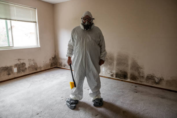 Best Local Mold Removal Service  in Marble Hill, MO
